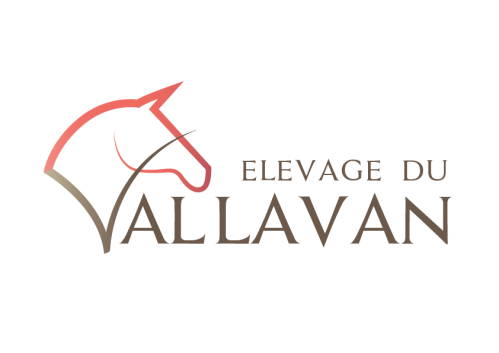 Logo élevage du Vallavan